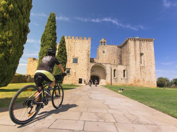 Alentejo cycling holiday, wine country