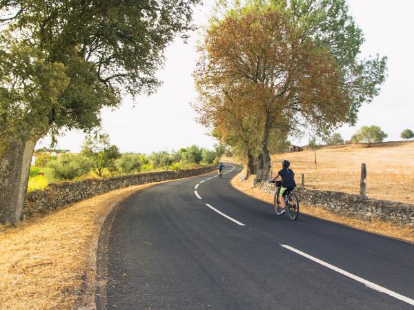 Alentejo cycling holiday, wine country