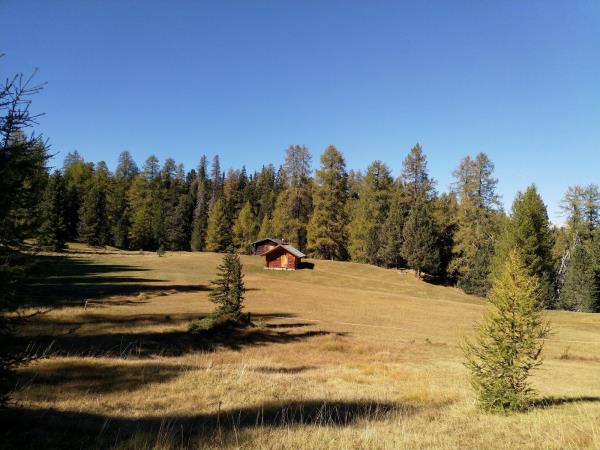 Dolomites centre based walking holiday in Italy