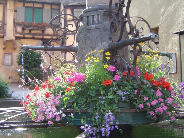 Alsace self guided walking holiday in France