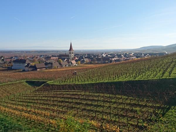 Alsace self guided walking holiday in France