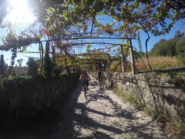 The Portuguese Way cycling holiday in Portugal