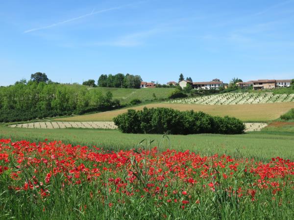 Piedmont self guided walking holiday in Italy
