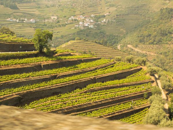 Douro Valley self guided cycling holiday, Portugal
