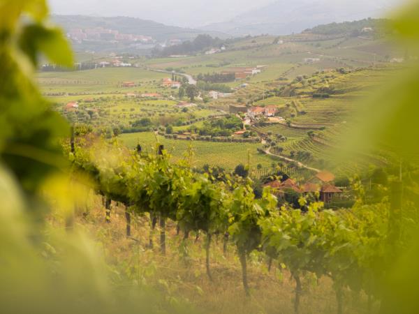 Douro Valley self guided cycling holiday, Portugal