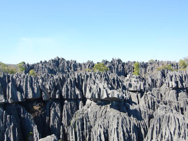 Madagascar luxury small group holiday