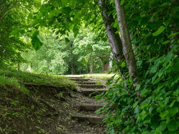 Wales walking holiday, the Offa’s Dyke path