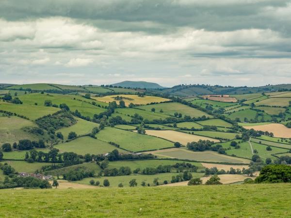 Wales walking holiday, the Offa’s Dyke path
