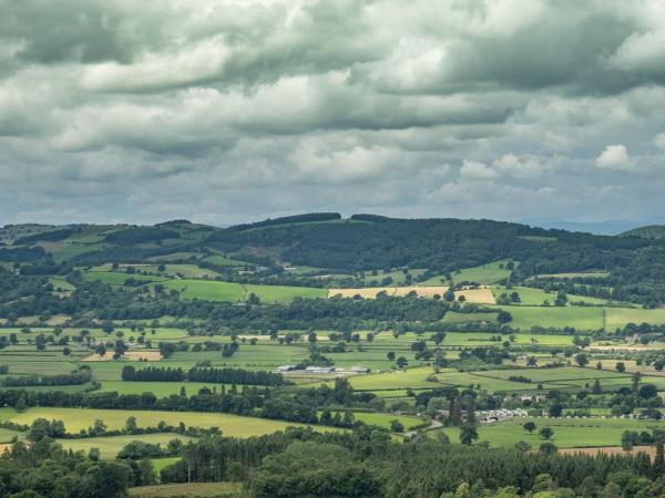 Wales walking holiday, the Offa’s Dyke path