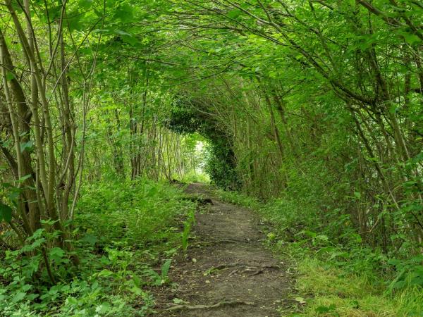 Wales walking holiday, the Offa’s Dyke path