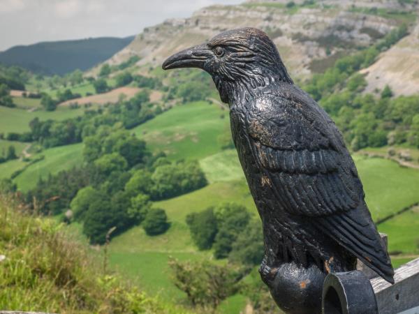 Wales walking holiday, Offa's Dyke northern path