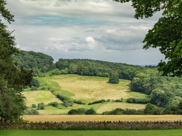 Offa's Dyke path walking holiday