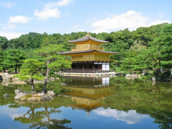 Japan family 12 day tour