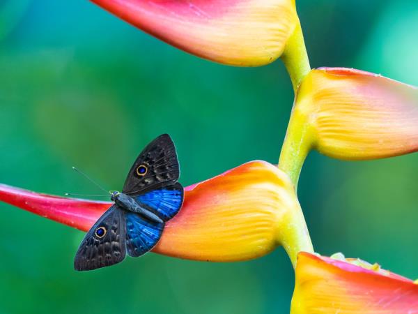 Costa Rica luxury small group holiday