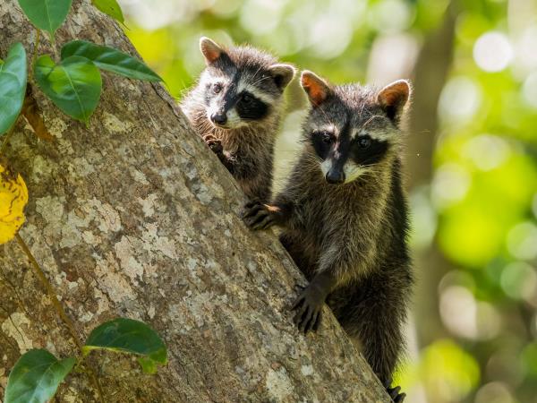 Costa Rica luxury small group holiday