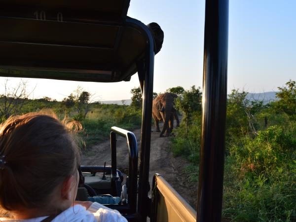 South Africa and Swaziland group tour