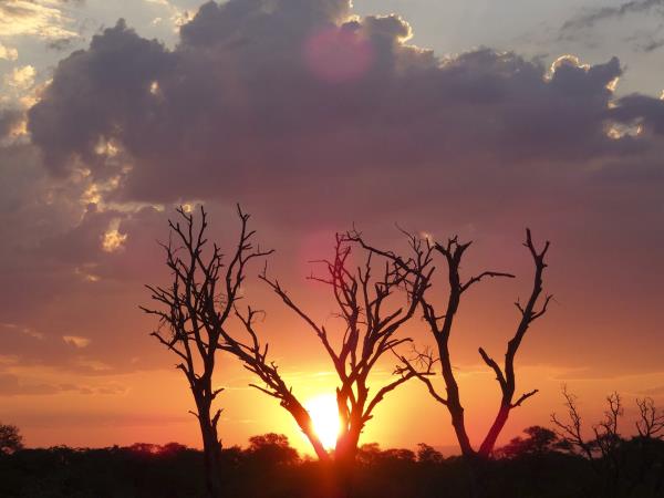 South Africa and Swaziland group tour