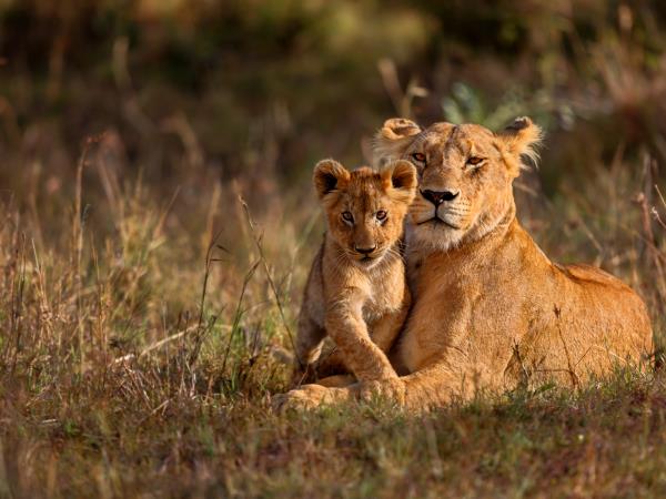South Africa and Swaziland group tour