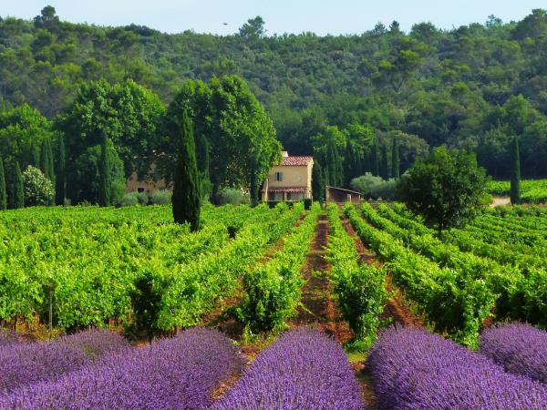 Cotes du Ventoux short break cycling holiday