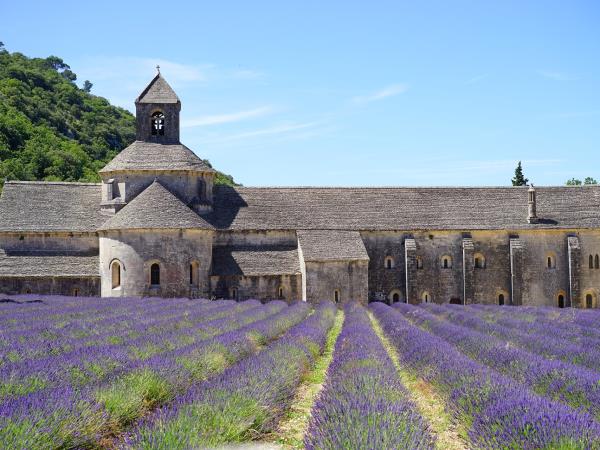 Provence cycling and wine holiday