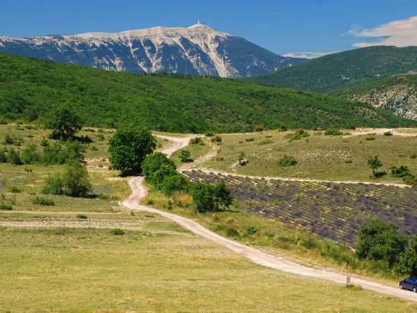 Provence cycling and wine holiday