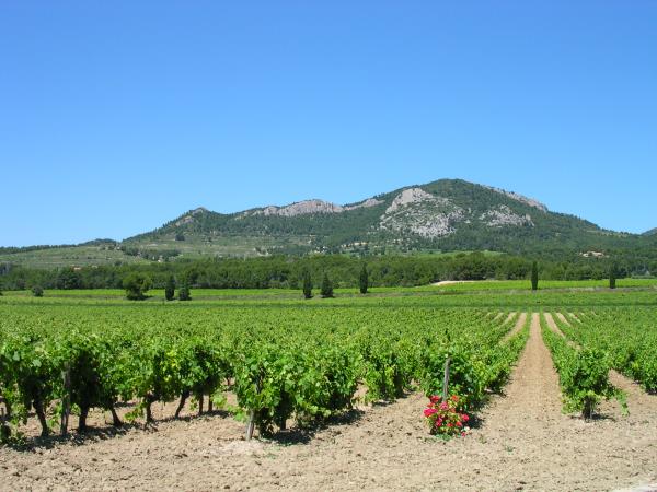 Provence cycling and wine holiday