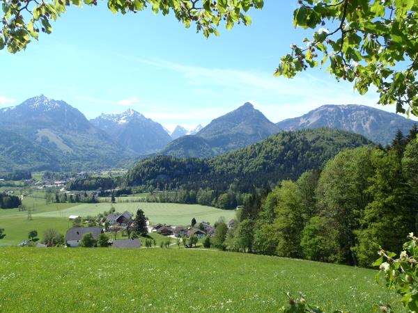 Easy walking holiday in Austria lake district