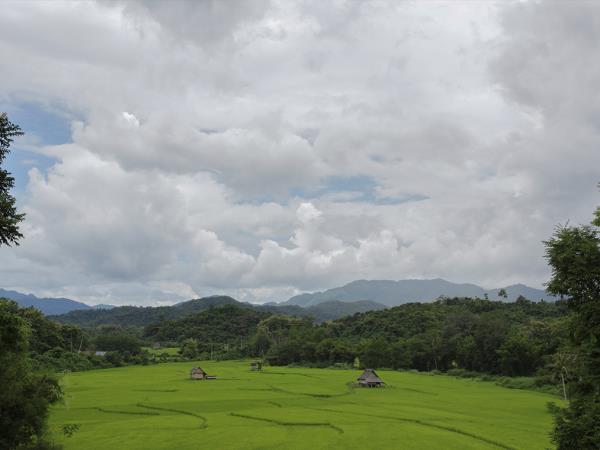 Laos hilltribes and jungles holiday