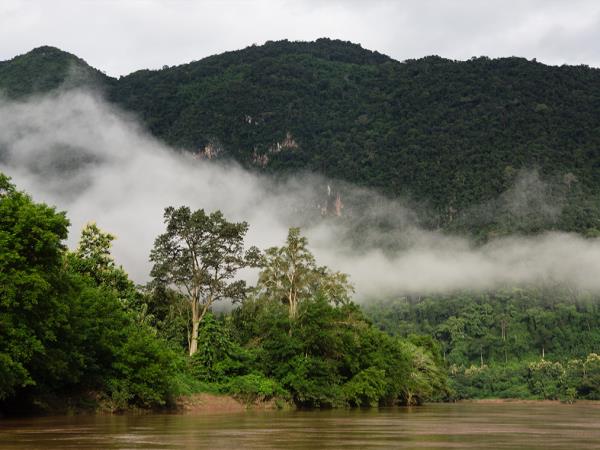 Laos hilltribes and jungles holiday