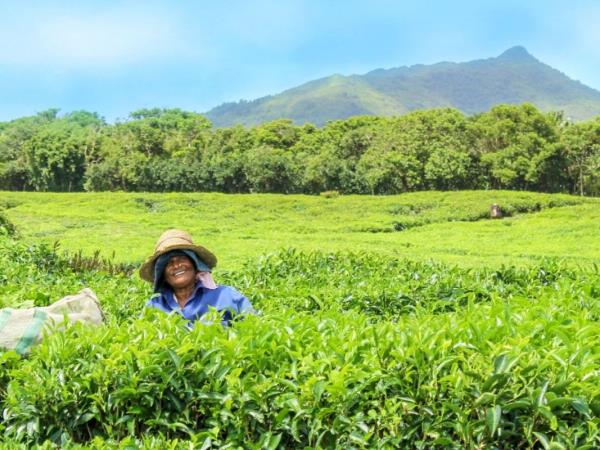 Mauritius cultural holiday, empowering local women