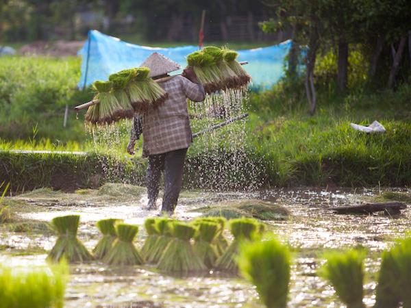 Highlights of Vietnam holiday
