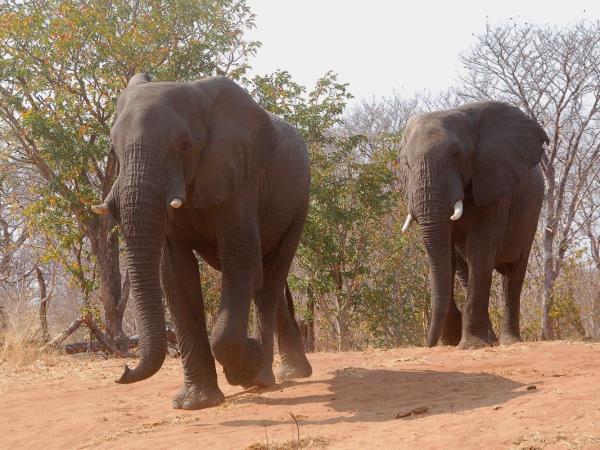 Southern Africa walking holiday