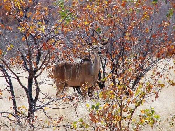 Southern Africa walking holiday