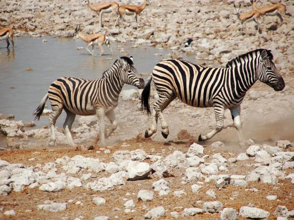 Southern Africa walking holiday
