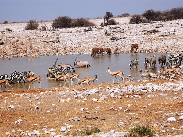 Southern Africa walking holiday