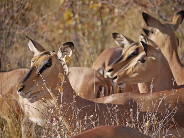 Southern Africa walking holiday