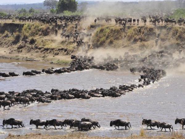 Kenya 5 day safari holiday