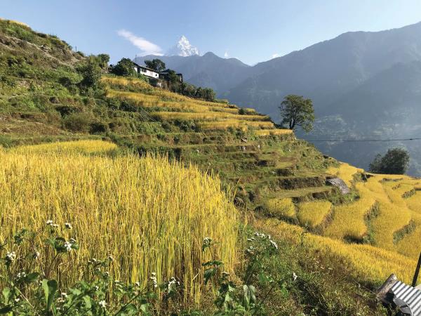 Nepal treks for Over 55s, Annapurna Dhaulagiri