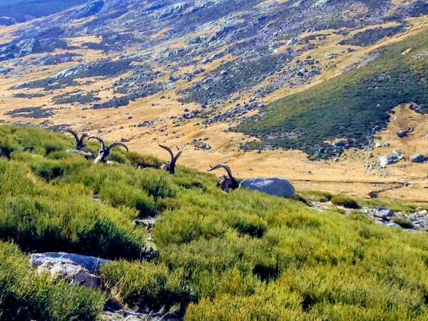Central Spain walking holiday