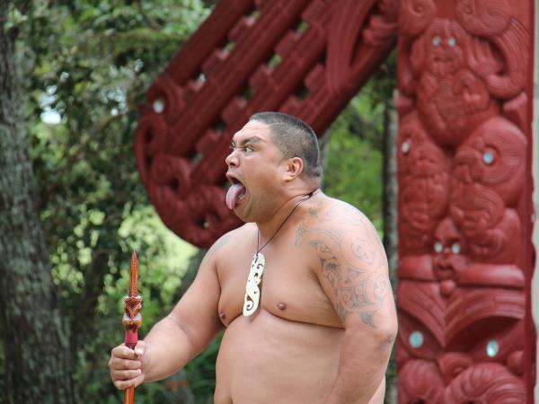 New Zealand self drive tour, 23 days