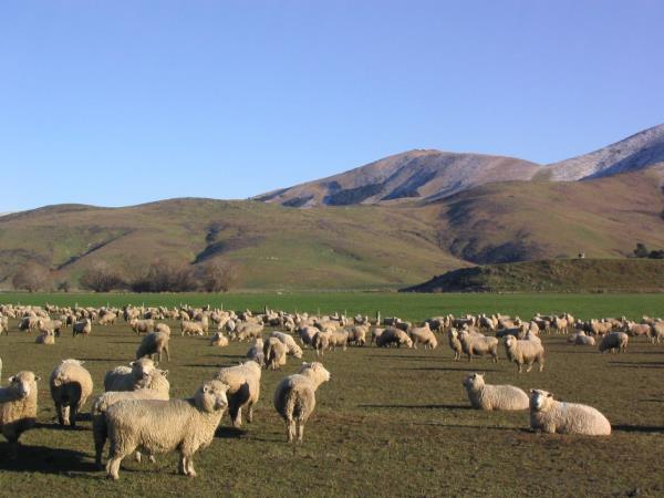 South Island self drive tour in New Zealand