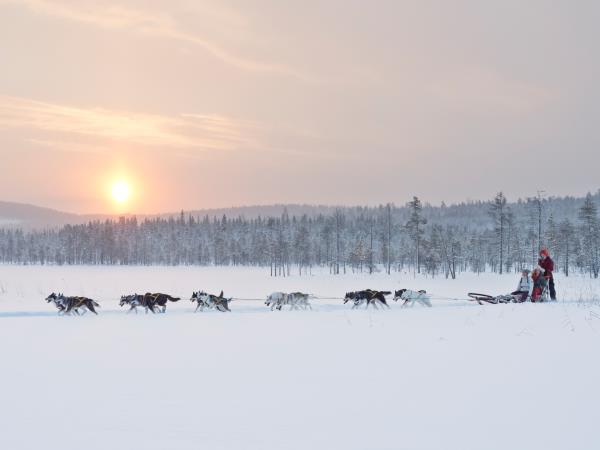 New year Northern Lights holiday, Sweden