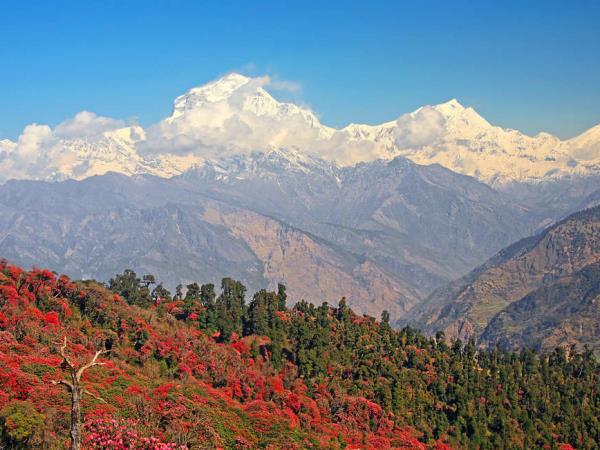 Annapurna Sanctuary small group