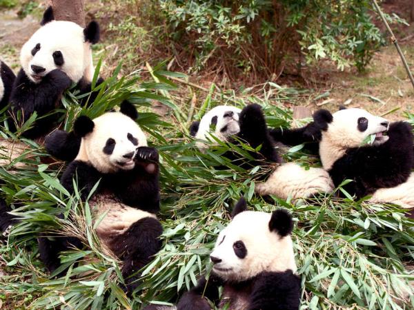 Family holidays in China