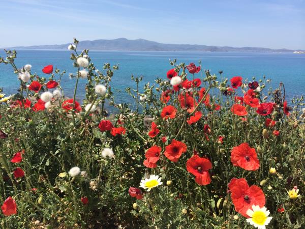 Naxos & the Small Cyclades holiday in Greece
