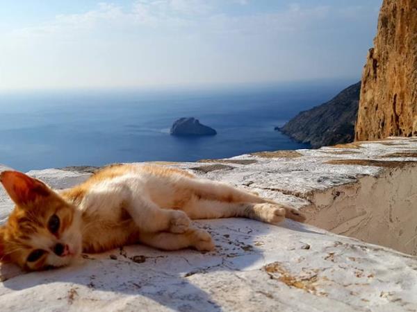 Naxos & the Small Cyclades holiday in Greece