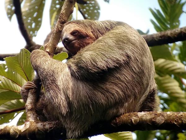 Costa Rica luxury tailormade holiday