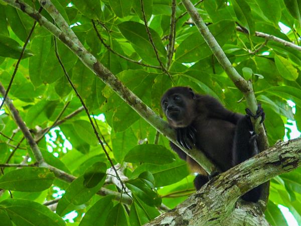 Costa Rica luxury tailormade holiday