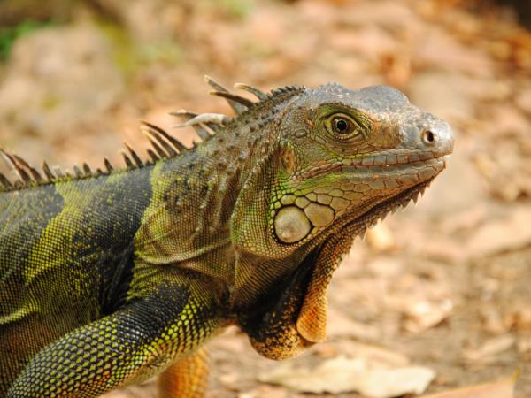 Colombia tailor made holiday, culture and coast