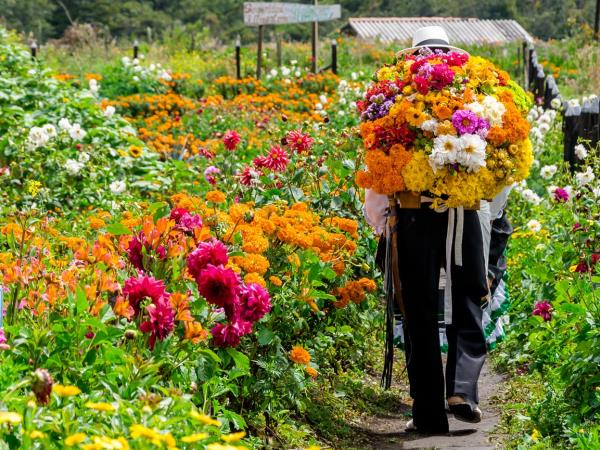 Colombia tailor made holiday, culture and coast